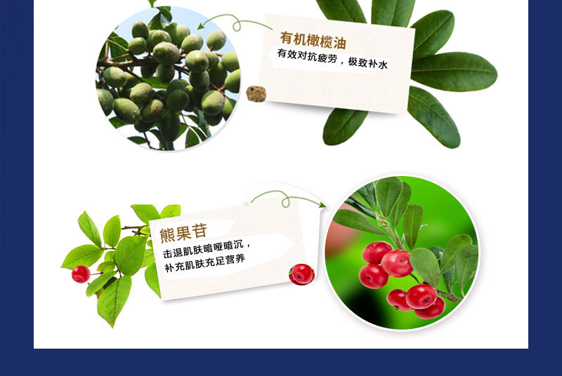 亮颜焕彩雪肌晚霜_06