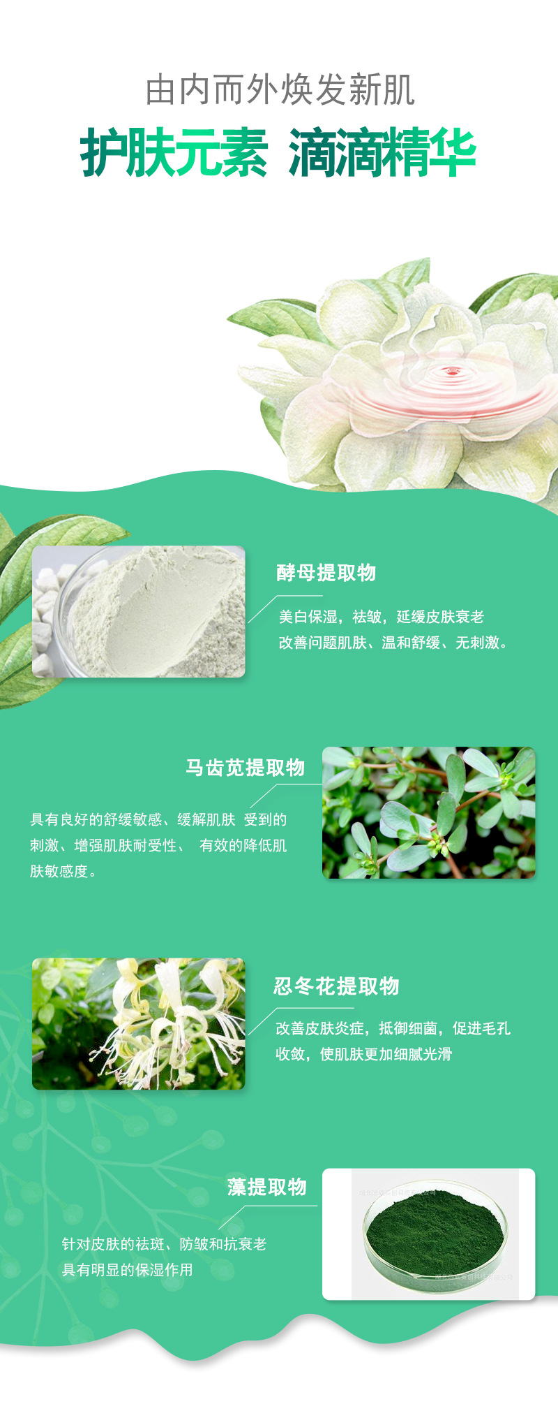 定格液详情_03