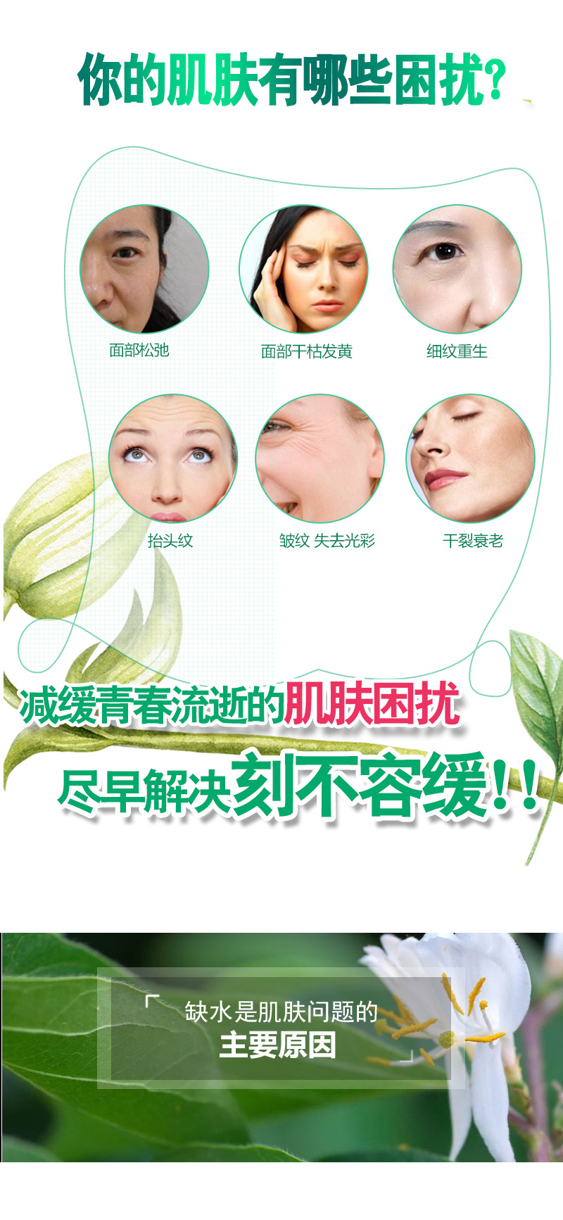 定格液详情_04